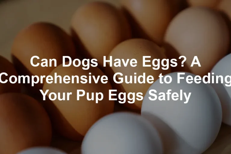 Featured image for Can Dogs Have Eggs? A Comprehensive Guide to Feeding Your Pup Eggs Safely