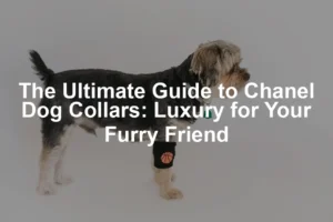 Featured image for The Ultimate Guide to Chanel Dog Collars: Luxury for Your Furry Friend