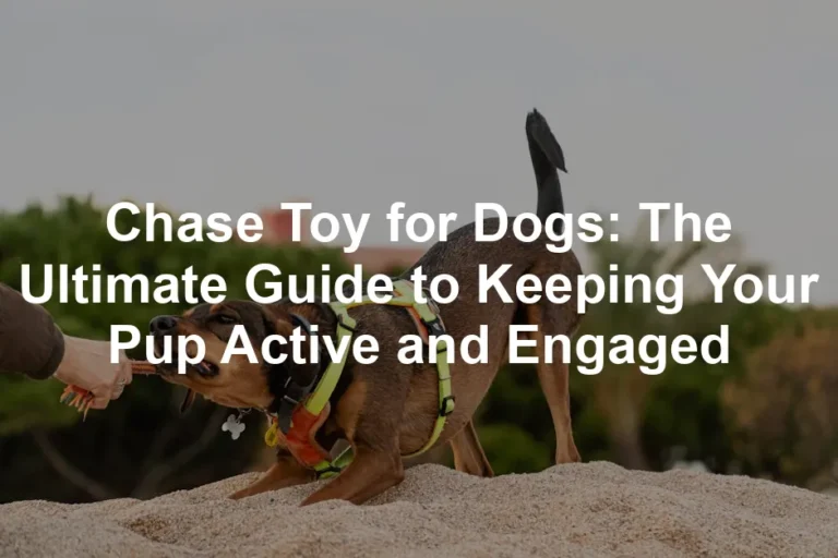 Featured image for Chase Toy for Dogs: The Ultimate Guide to Keeping Your Pup Active and Engaged