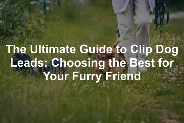 Featured image for The Ultimate Guide to Clip Dog Leads: Choosing the Best for Your Furry Friend