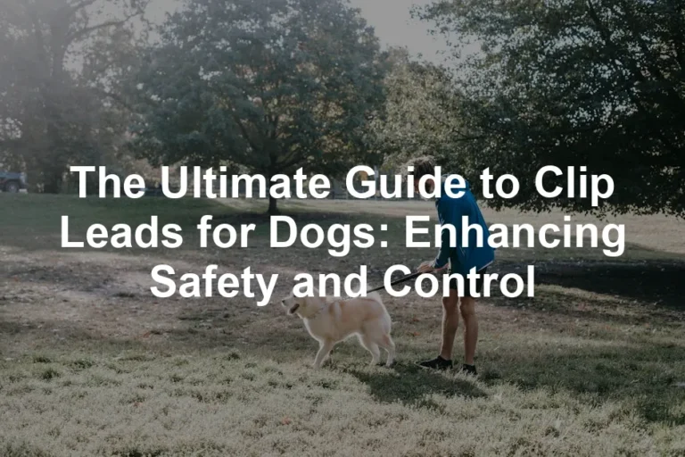 Featured image for The Ultimate Guide to Clip Leads for Dogs: Enhancing Safety and Control