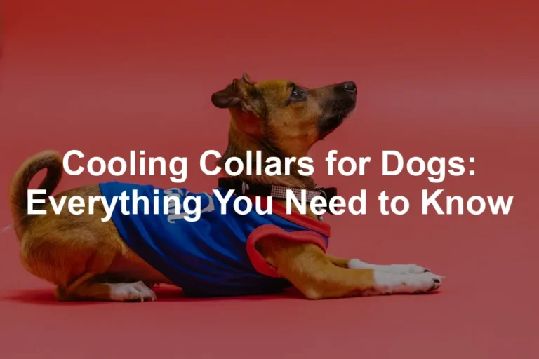 Featured image for Cooling Collars for Dogs: Everything You Need to Know