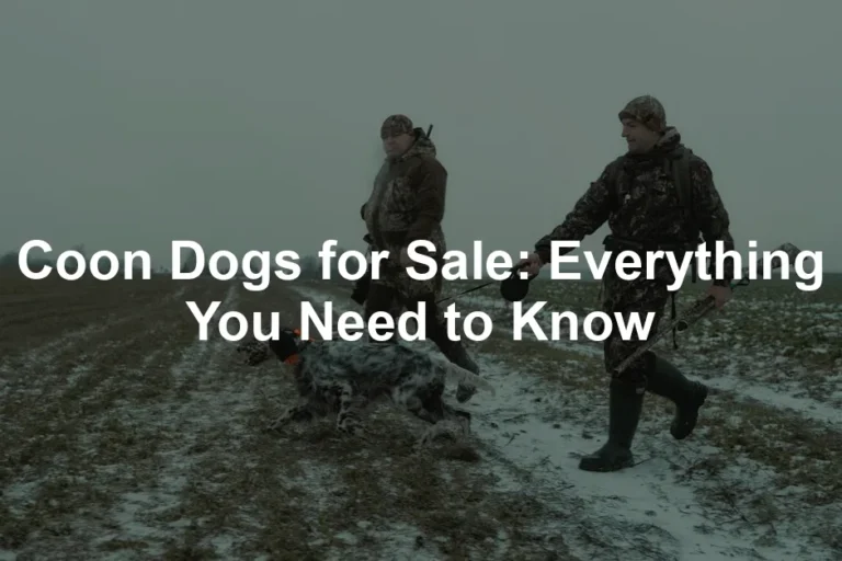 Featured image for Coon Dogs for Sale: Everything You Need to Know