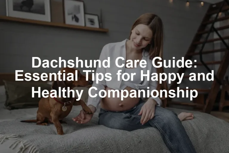 Featured image for Dachshund Care Guide: Essential Tips for Happy and Healthy Companionship