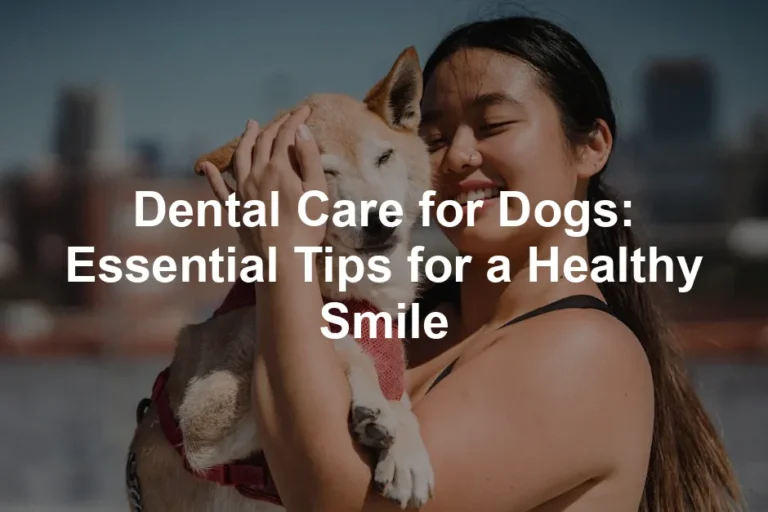 Featured image for Dental Care for Dogs: Essential Tips for a Healthy Smile