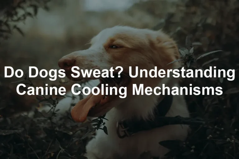 Featured image for Do Dogs Sweat? Understanding Canine Cooling Mechanisms