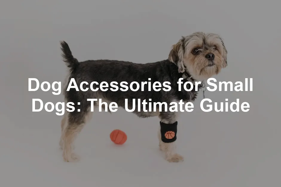 Featured image for Dog Accessories for Small Dogs: The Ultimate Guide