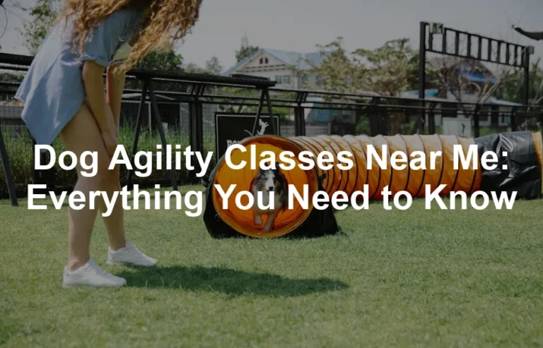 Featured image for Dog Agility Classes Near Me: Everything You Need to Know