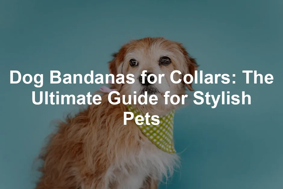 Featured image for Dog Bandanas for Collars: The Ultimate Guide for Stylish Pets