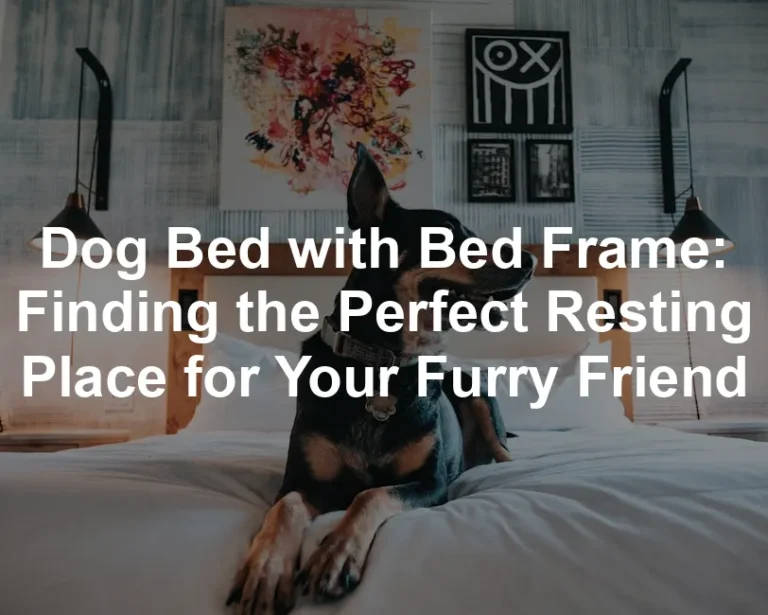 Featured image for Dog Bed with Bed Frame: Finding the Perfect Resting Place for Your Furry Friend