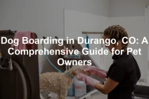 Featured image for Dog Boarding in Durango, CO: A Comprehensive Guide for Pet Owners