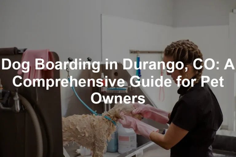 Featured image for Dog Boarding in Durango, CO: A Comprehensive Guide for Pet Owners