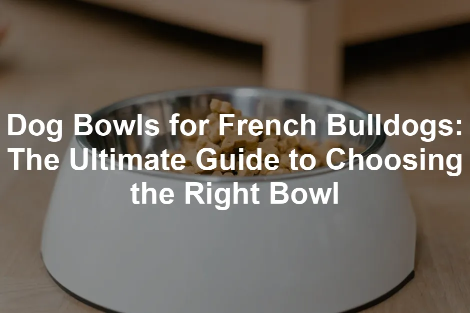 Featured image for Dog Bowls for French Bulldogs: The Ultimate Guide to Choosing the Right Bowl