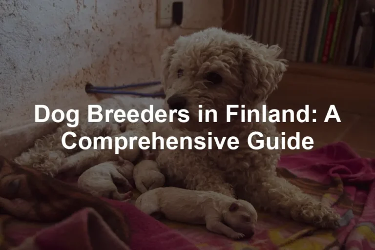 Featured image for Dog Breeders in Finland: A Comprehensive Guide