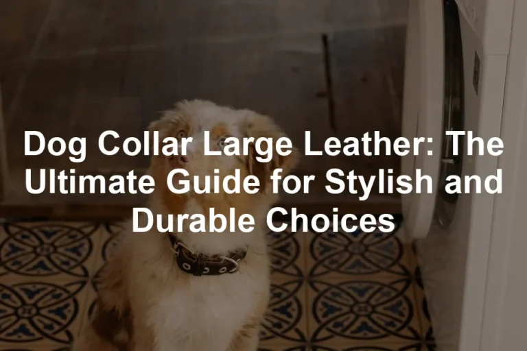 Featured image for Dog Collar Large Leather: The Ultimate Guide for Stylish and Durable Choices