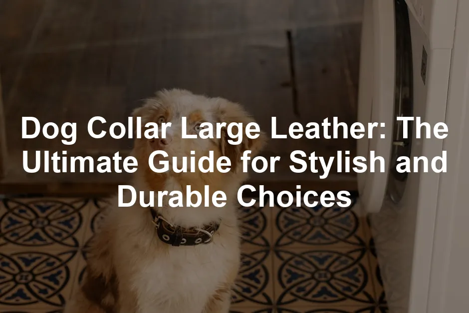 Featured image for Dog Collar Large Leather: The Ultimate Guide for Stylish and Durable Choices