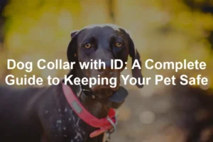 Featured image for Dog Collar with ID: A Complete Guide to Keeping Your Pet Safe