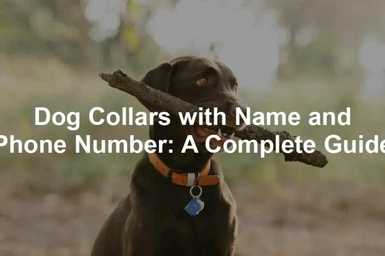 Featured image for Dog Collars with Name and Phone Number: A Complete Guide