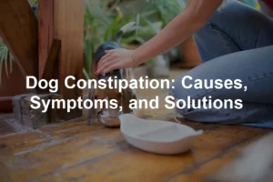 Featured image for Dog Constipation: Causes, Symptoms, and Solutions