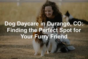 Featured image for Dog Daycare in Durango, CO: Finding the Perfect Spot for Your Furry Friend