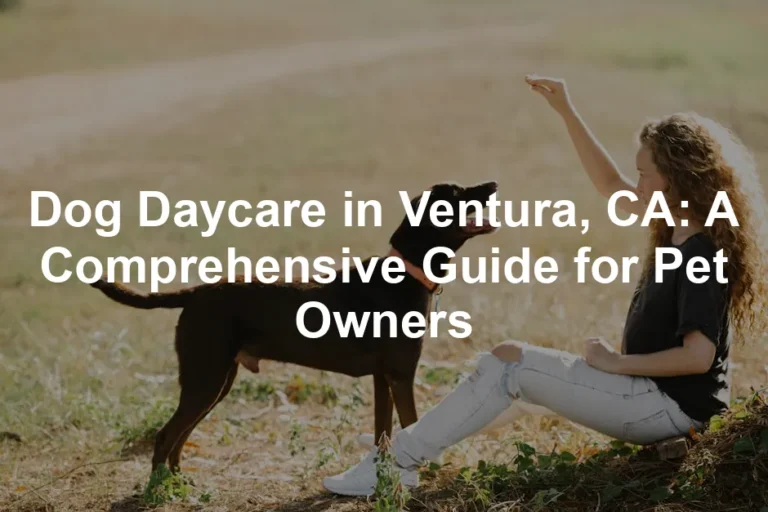 Featured image for Dog Daycare in Ventura, CA: A Comprehensive Guide for Pet Owners