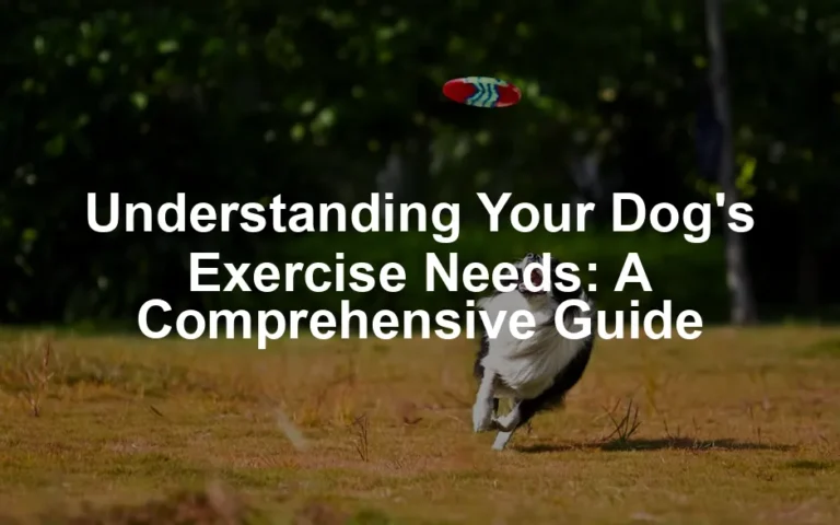 Featured image for Understanding Your Dog's Exercise Needs: A Comprehensive Guide