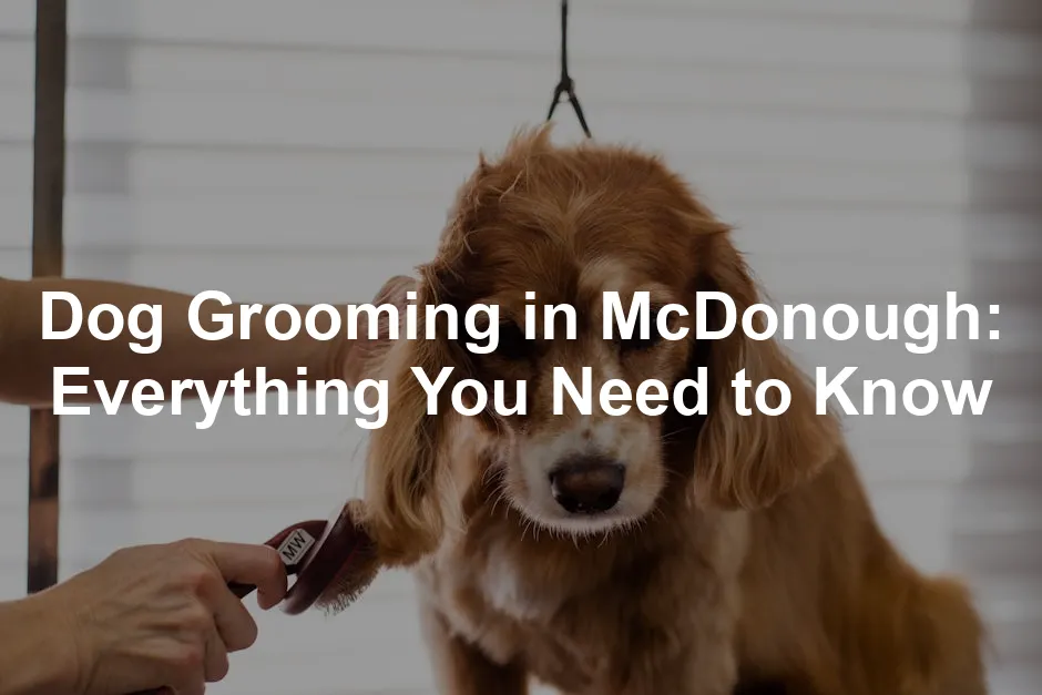 Featured image for Dog Grooming in McDonough: Everything You Need to Know