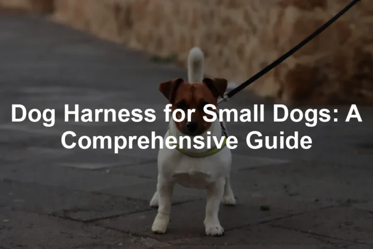 Featured image for Dog Harness for Small Dogs: A Comprehensive Guide