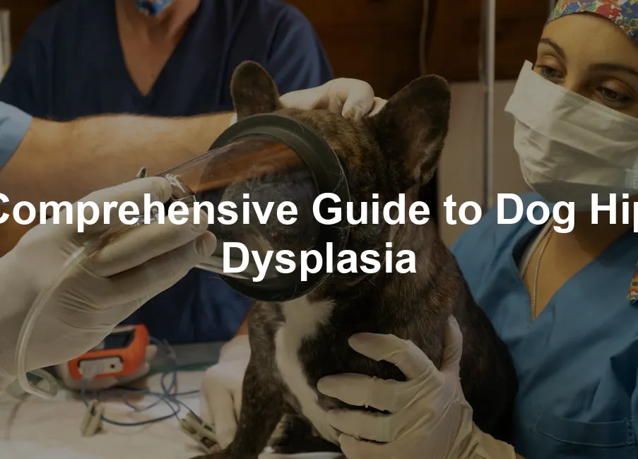 Featured image for Comprehensive Guide to Dog Hip Dysplasia