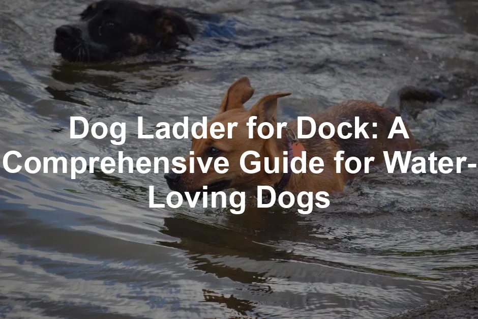 Featured image for Dog Ladder for Dock: A Comprehensive Guide for Water-Loving Dogs