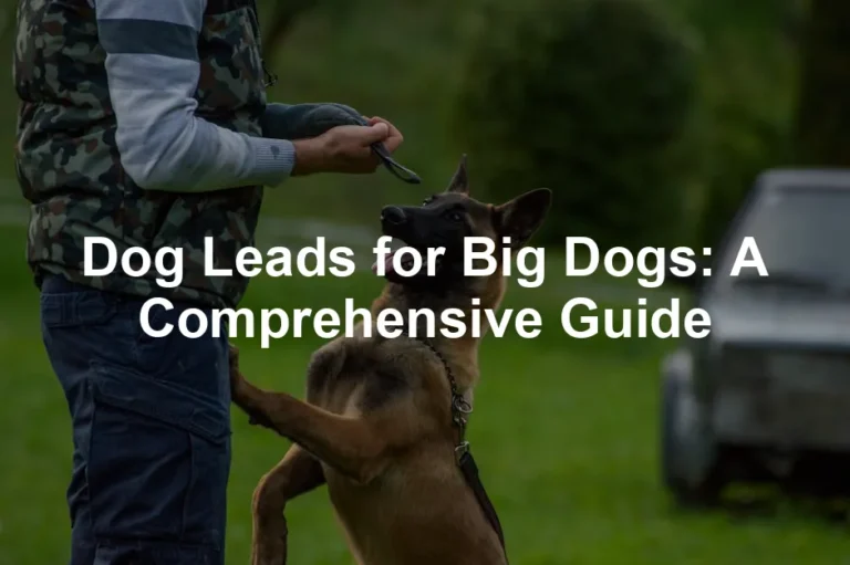 Featured image for Dog Leads for Big Dogs: A Comprehensive Guide