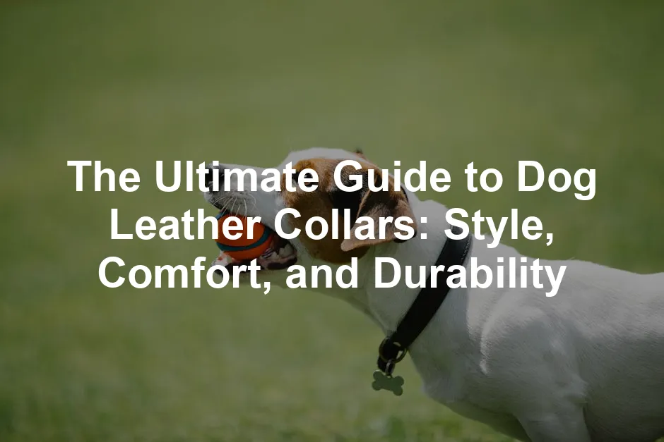 Featured image for The Ultimate Guide to Dog Leather Collars: Style, Comfort, and Durability