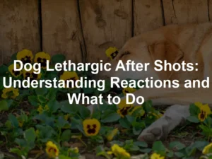 Featured image for Dog Lethargic After Shots: Understanding Reactions and What to Do