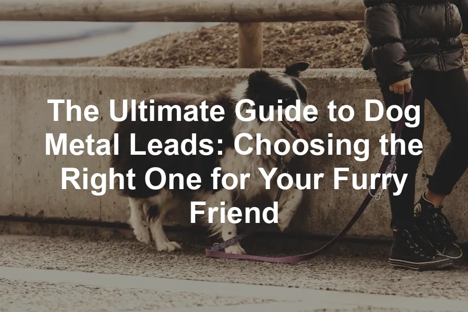 Featured image for The Ultimate Guide to Dog Metal Leads: Choosing the Right One for Your Furry Friend