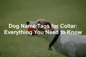 Featured image for Dog Name Tags for Collar: Everything You Need to Know