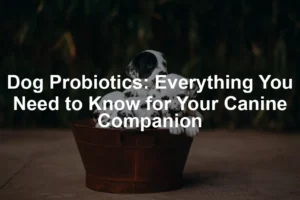 Featured image for Dog Probiotics: Everything You Need to Know for Your Canine Companion