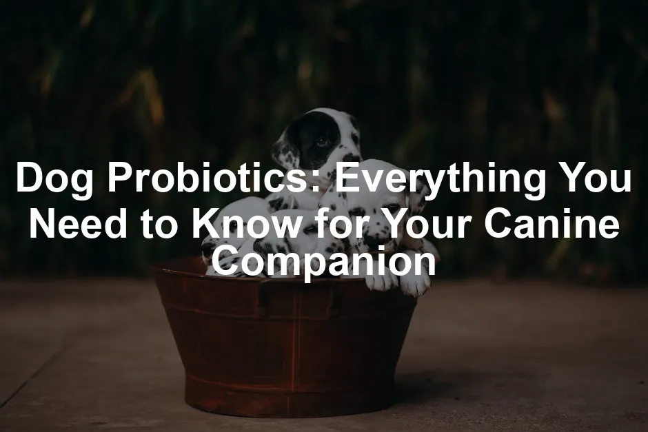 Featured image for Dog Probiotics: Everything You Need to Know for Your Canine Companion