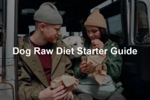 Featured image for Dog Raw Diet Starter Guide