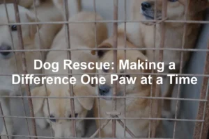 Featured image for Dog Rescue: Making a Difference One Paw at a Time