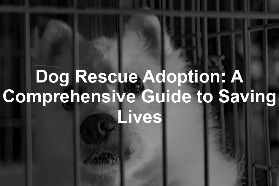 Featured image for Dog Rescue Adoption: A Comprehensive Guide to Saving Lives