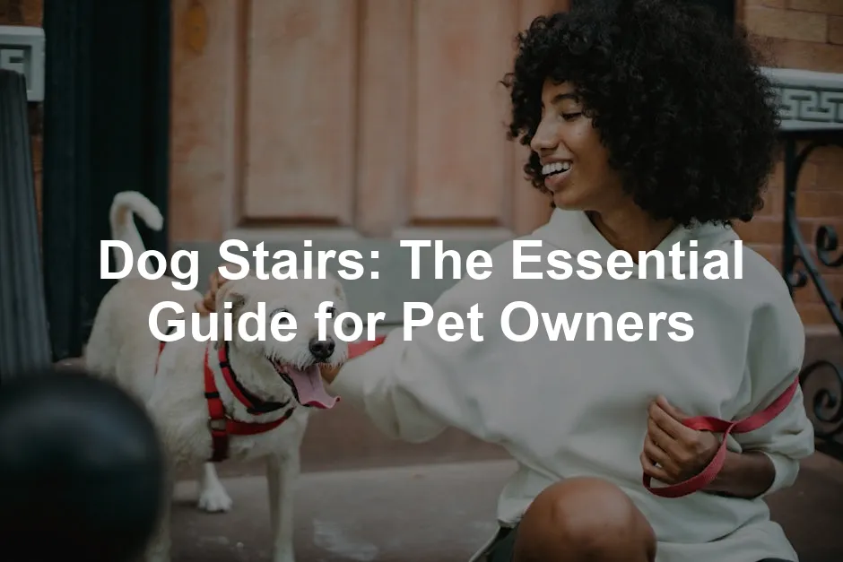 Featured image for Dog Stairs: The Essential Guide for Pet Owners