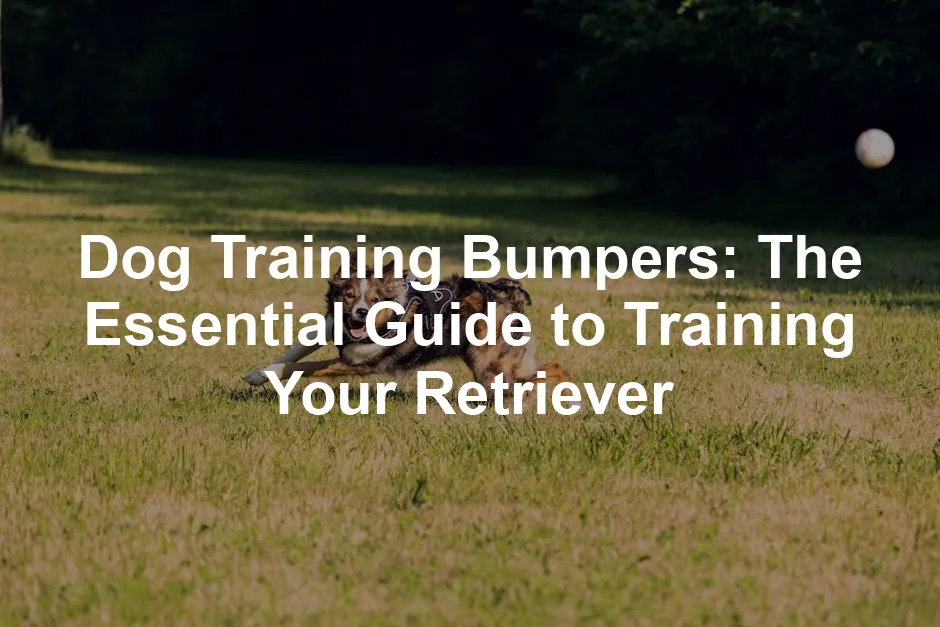Featured image for Dog Training Bumpers: The Essential Guide to Training Your Retriever