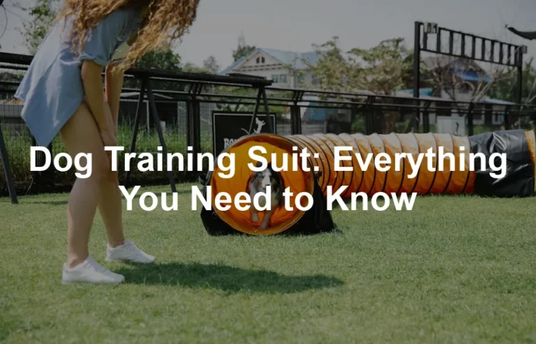 Featured image for Dog Training Suit: Everything You Need to Know