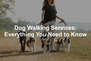 Featured image for Dog Walking Services: Everything You Need to Know