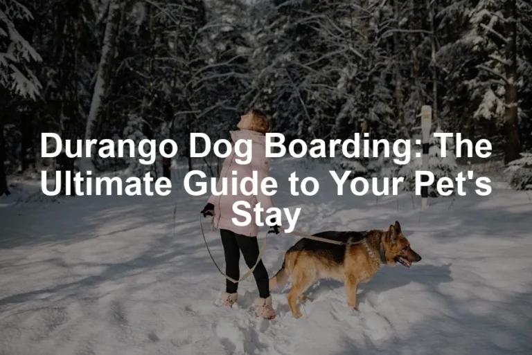 Featured image for Durango Dog Boarding: The Ultimate Guide to Your Pet's Stay