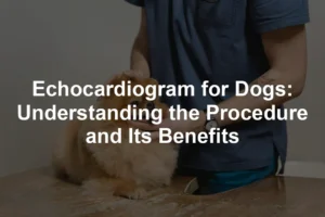 Featured image for Echocardiogram for Dogs: Understanding the Procedure and Its Benefits