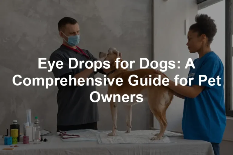 Featured image for Eye Drops for Dogs: A Comprehensive Guide for Pet Owners