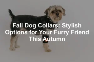 Featured image for Fall Dog Collars: Stylish Options for Your Furry Friend This Autumn