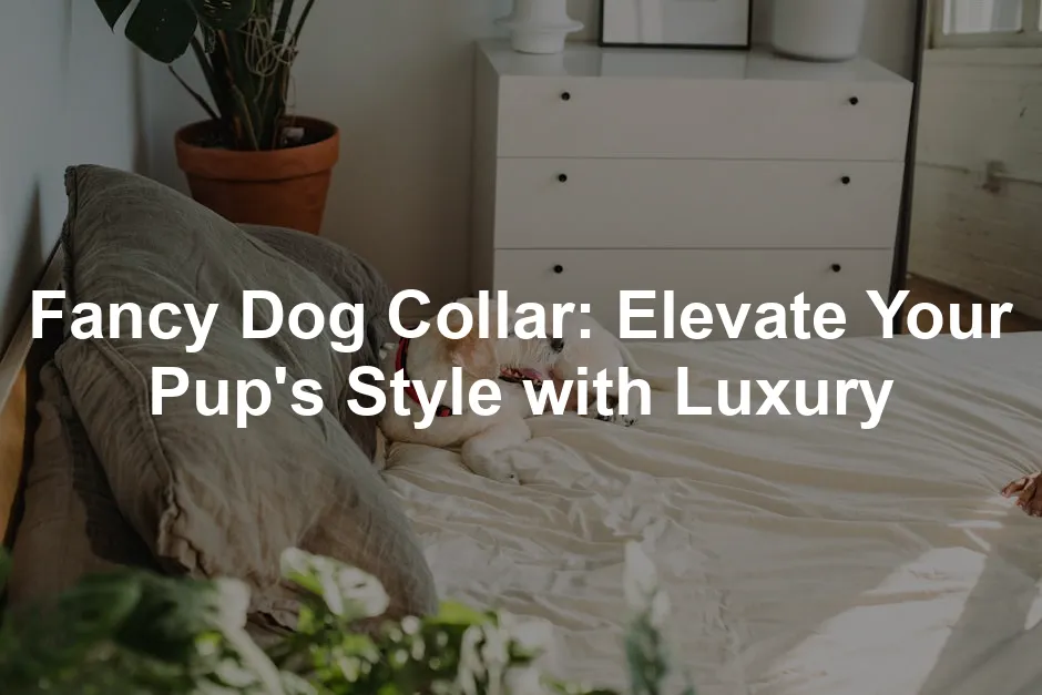 Featured image for Fancy Dog Collar: Elevate Your Pup's Style with Luxury
