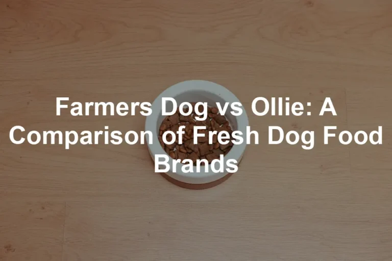 Featured image for Farmers Dog vs Ollie: A Comparison of Fresh Dog Food Brands